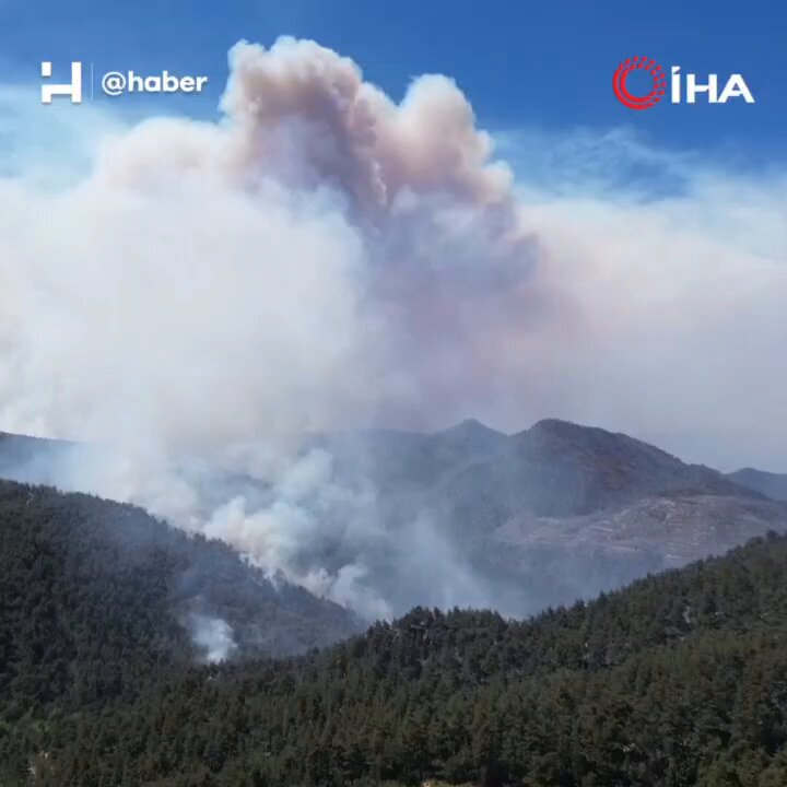 Sakarya ve Bilecik'te Orman Yangını: 700 Personel Seferber Oldu