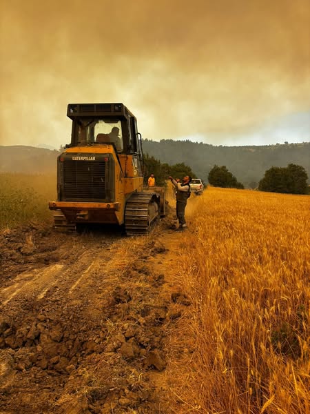 Kocaeli Büyükşehir Belediyesi Sakarya ve Bilecik'teki Orman Yangınına Müdahale Etti