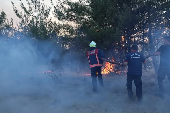 Sakarya Taraklı'da Orman Yangını Kontrol Altına Alınmaya Çalışılıyor