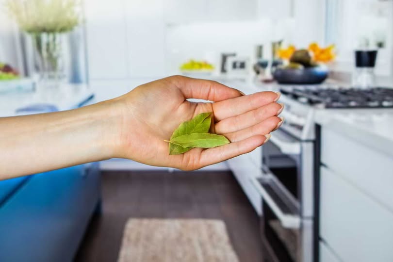 Mutfakta Güve Sorunu: Güve Nedir, Nasıl Temizlenir? | Yemek.com