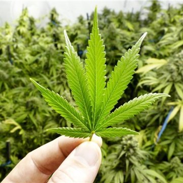 Murat Ülker Milletvekillerini Kenevir Yasası'na Karşı Uyardı: 