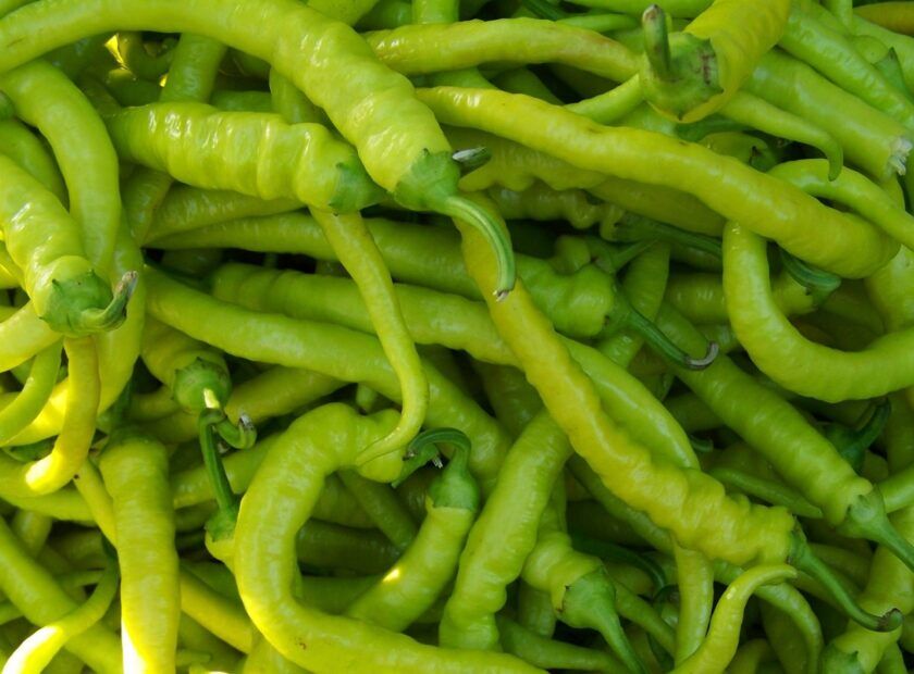 Türkiye'den Almanya'ya İhraç Edilen Taze Biberlerde Yüksek Pestisit Uyarısı