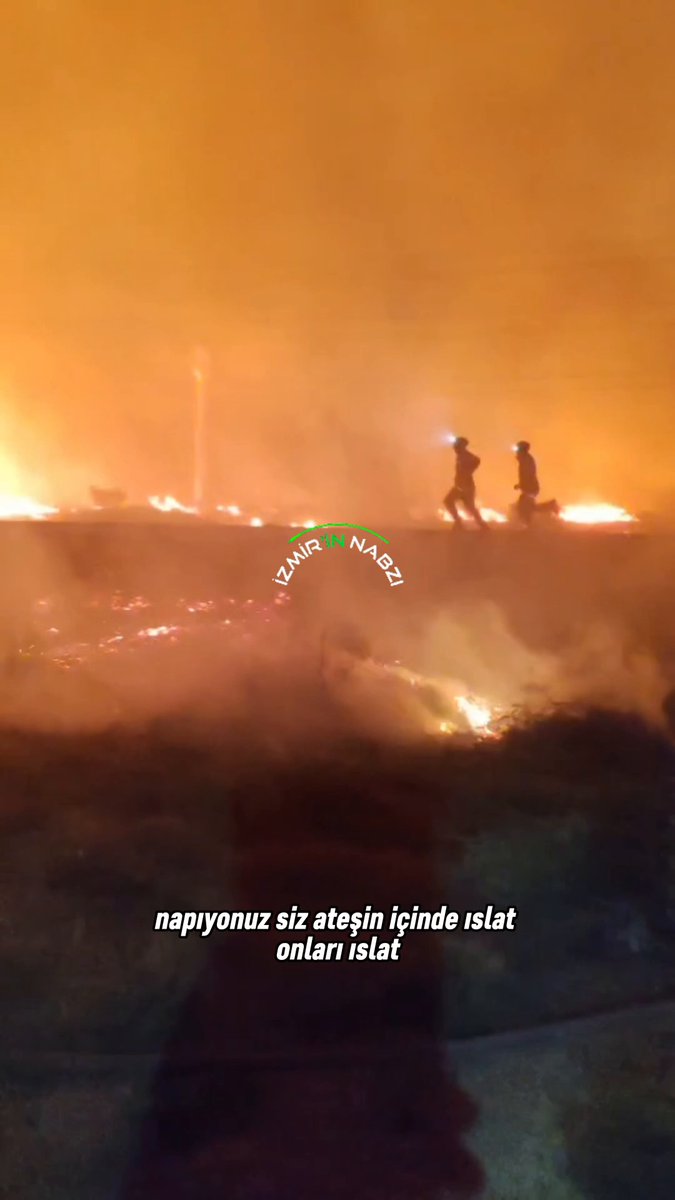 İzmir Çeşme'de Orman Yangını: Rüzgar Yangının Kontrolünü Zorlaştırıyor