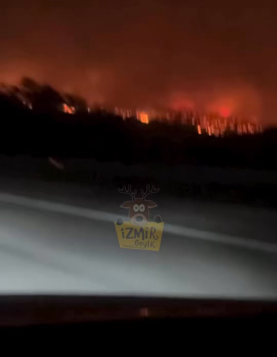 İzmir Çeşme Karayolu Yangın Sebebiyle Kapatıldı: Trafik Durdu