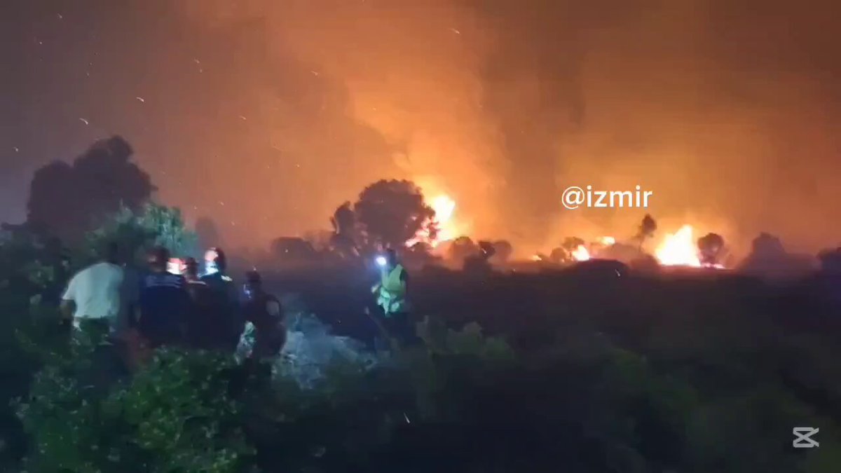 İzmir Çeşme'de Yangınla Mücadele Devam Ediyor: Son Durum ve Detaylar