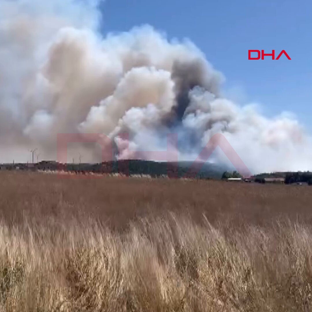 Silivri'de Orman Yangını: Dev Ekiplerle Müdahale Devam Ediyor