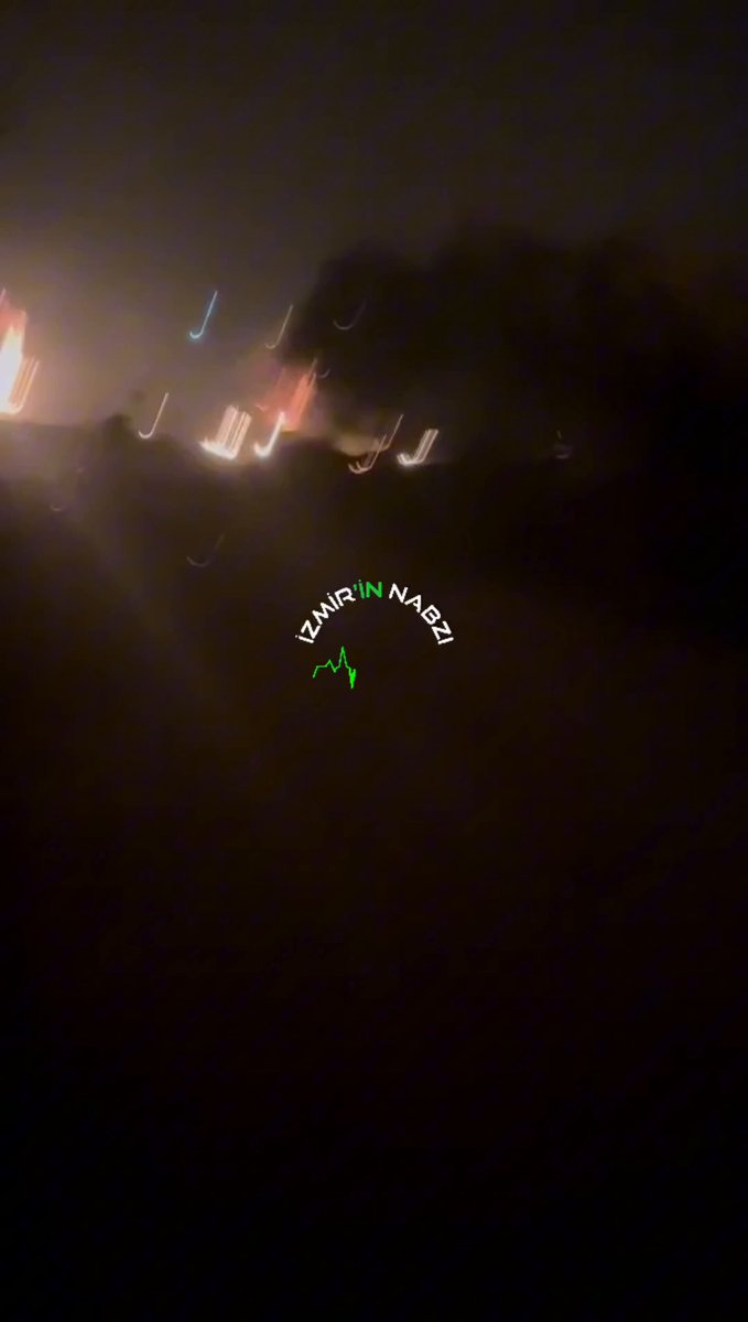 İzmir Ödemiş'te Yangın: Vatandaşlar Mahsur Kalan Hayvanları Kurtarmak İçin Seferber Oldu