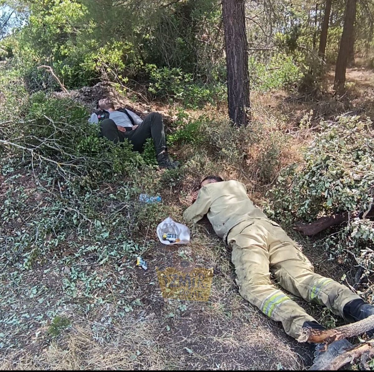 İzmir'de Orman Personelleri Yorgunluktan Uyuyakaldı