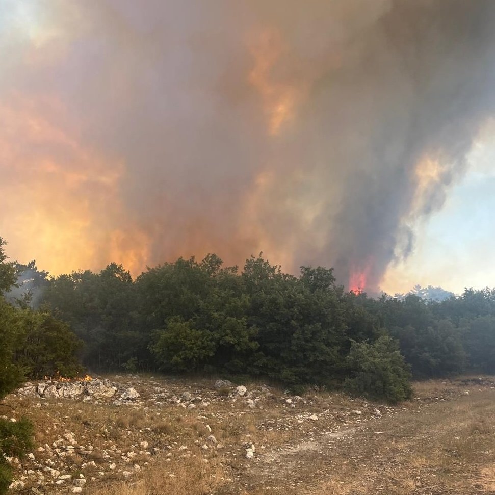 Eskişehir Seyitgazi'de Orman Yangını Çıktı: Kontrol Altına Alınmaya Çalışılıyor