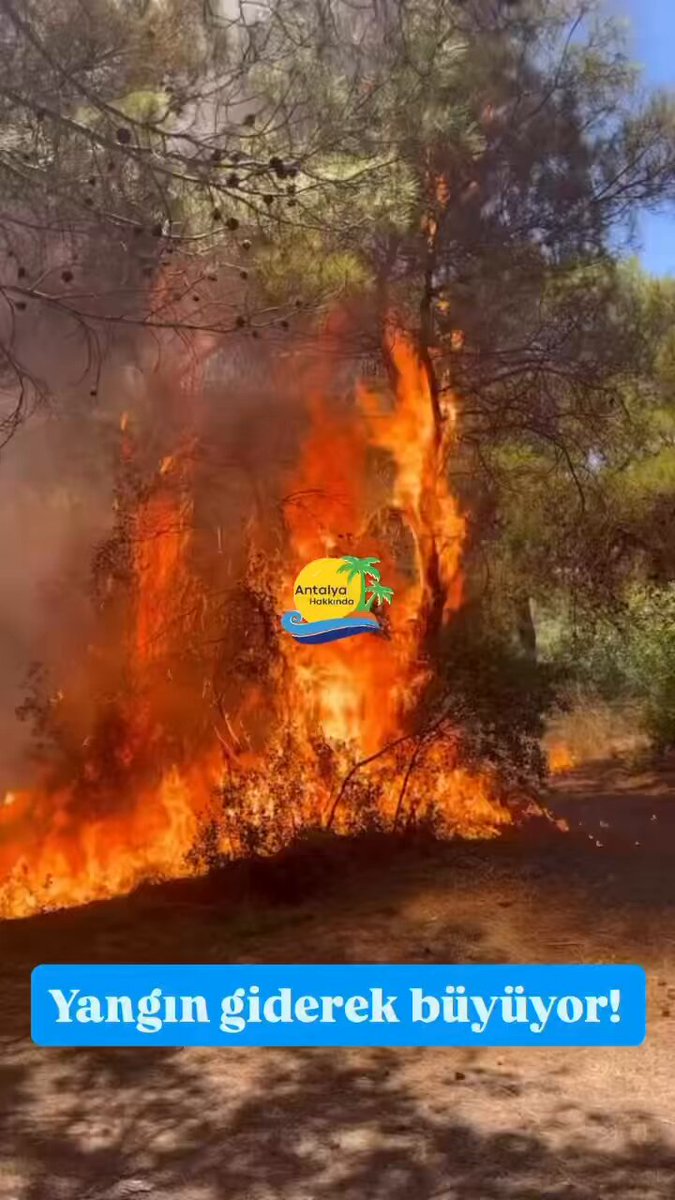 Antalya Güzeloba'da Yeniden Orman Yangını: Ekipler Söndürme Çalışmalarına Devam Ediyor