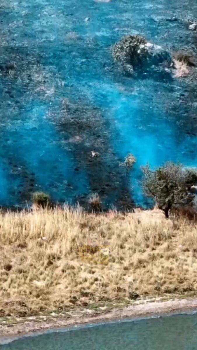 İzmir'de Küle Dönen Ormanda Yuvasını Arayan Tavşan Gözyaşlarını Döktürdü