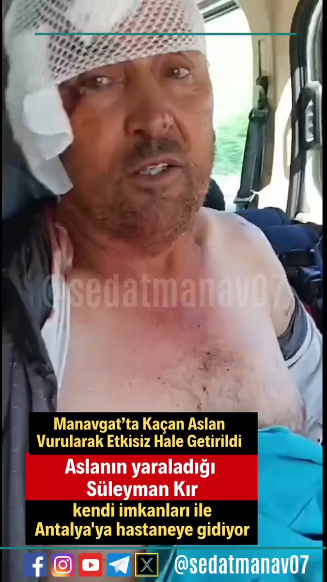 Manavgat'ta Aslan Saldırısı: Vatandaşın Görüntüleri Yayınlandı