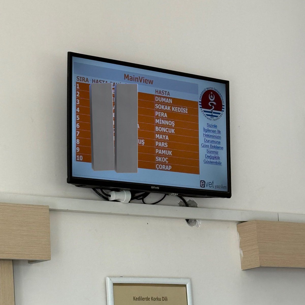 Veteriner Fakültesi Sıra Ekranındaki Hayvan İsimleri Merak Ediliyor