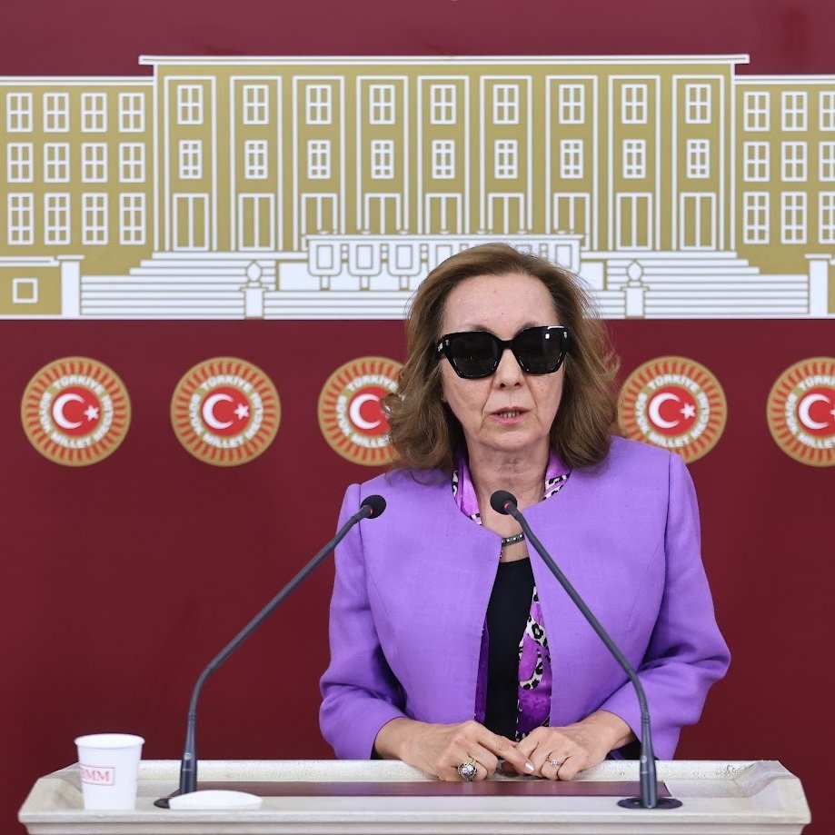 CHP'den AKP'ye Geçen Milletvekili Serap Yazıcı Özbudun: 