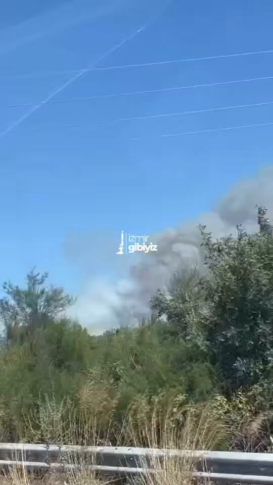 İzmir Urla'da Orman Yangını: Söndürme Çalışmaları Devam Ediyor