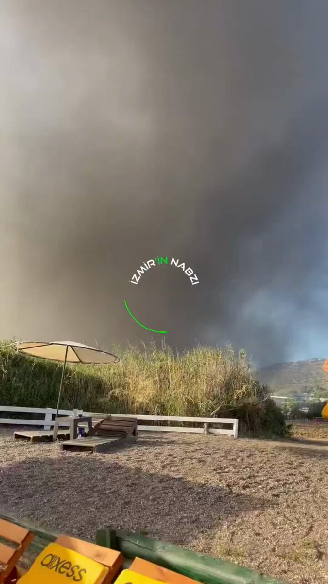 İzmir Urla'da Yangın Büyüyor: Tatilciler Sahilleri Terk Ediyor