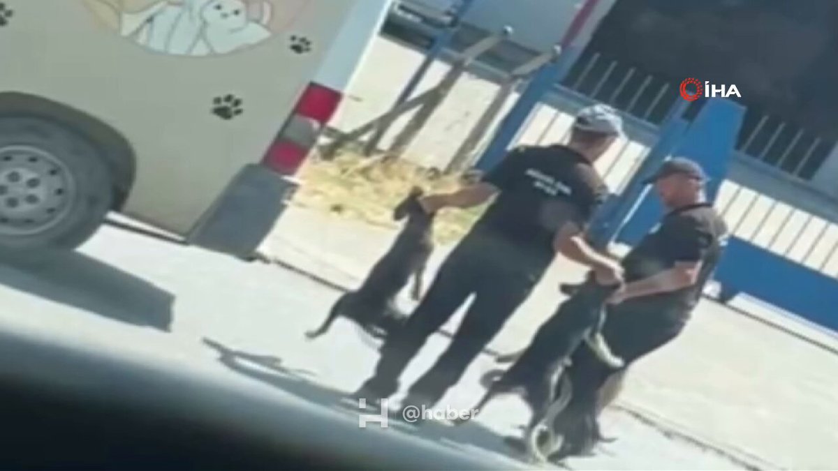 Düzce Valiliği Sahipsiz Sokak Hayvanları Olayında Soruşturma Başlattı