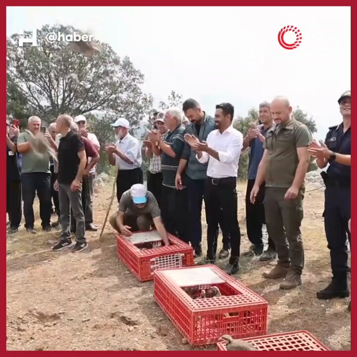 Adana'da 500 Keklik Kene Mücadelesinde Görevlendirildi