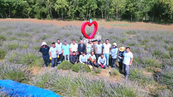 İzmit Belediyesi Durhasan Köyü Lavanta Bahçesi'nde 4. Hasadı Gerçekleştirdi