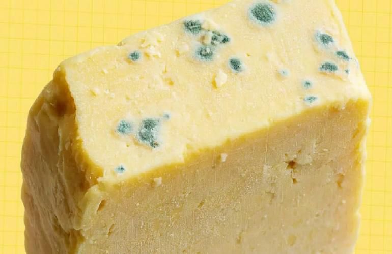 Şanlıurfa'da Aileden 6 Kişi Yedikleri Peynirden Zehirlendi