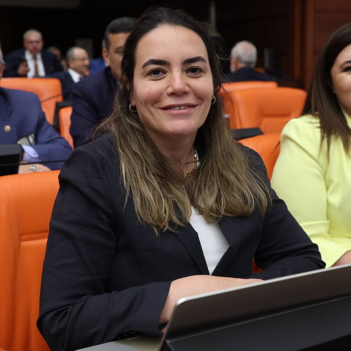 İYİ Parti Milletvekili Türkeş'ten Irak ve Lübnan Benzetmesi