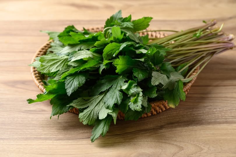 Yavşan Otunun Şifalı Özellikleri ve Faydaları: Sağlığa Katkıları Neler?