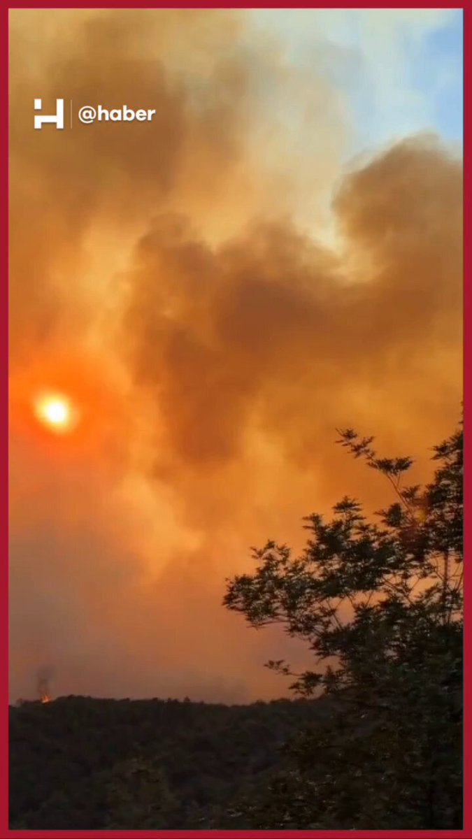 Sakarya Geyve'de Orman Yangını: 1 Köy Boşaltıldı