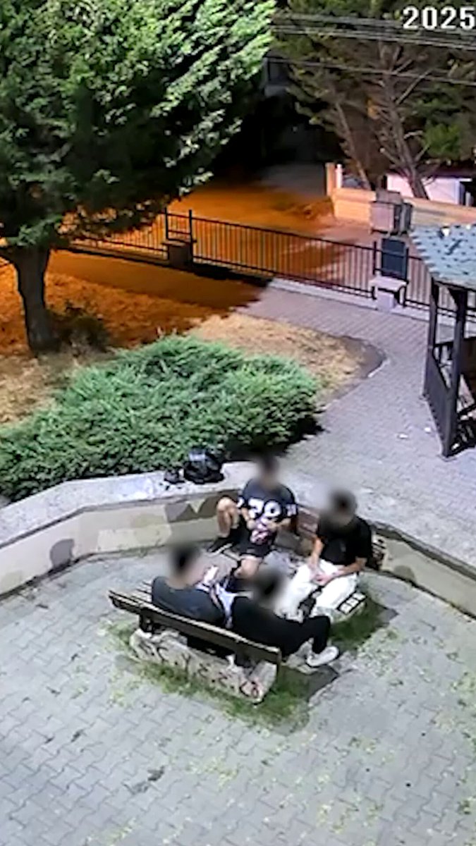 Yalova'da Zabıta Ekipleri Yere Çekirdek Atan Gençlere Yer Temizleme Cezası Uyguladı