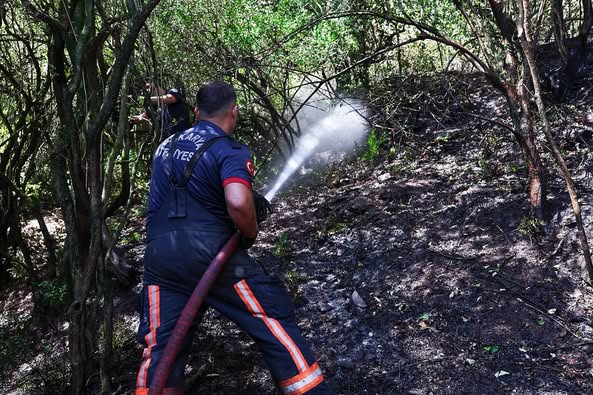Sakarya'da Kömürlük Mevkiinde Orman Yangını Kontrol Altına Alındı