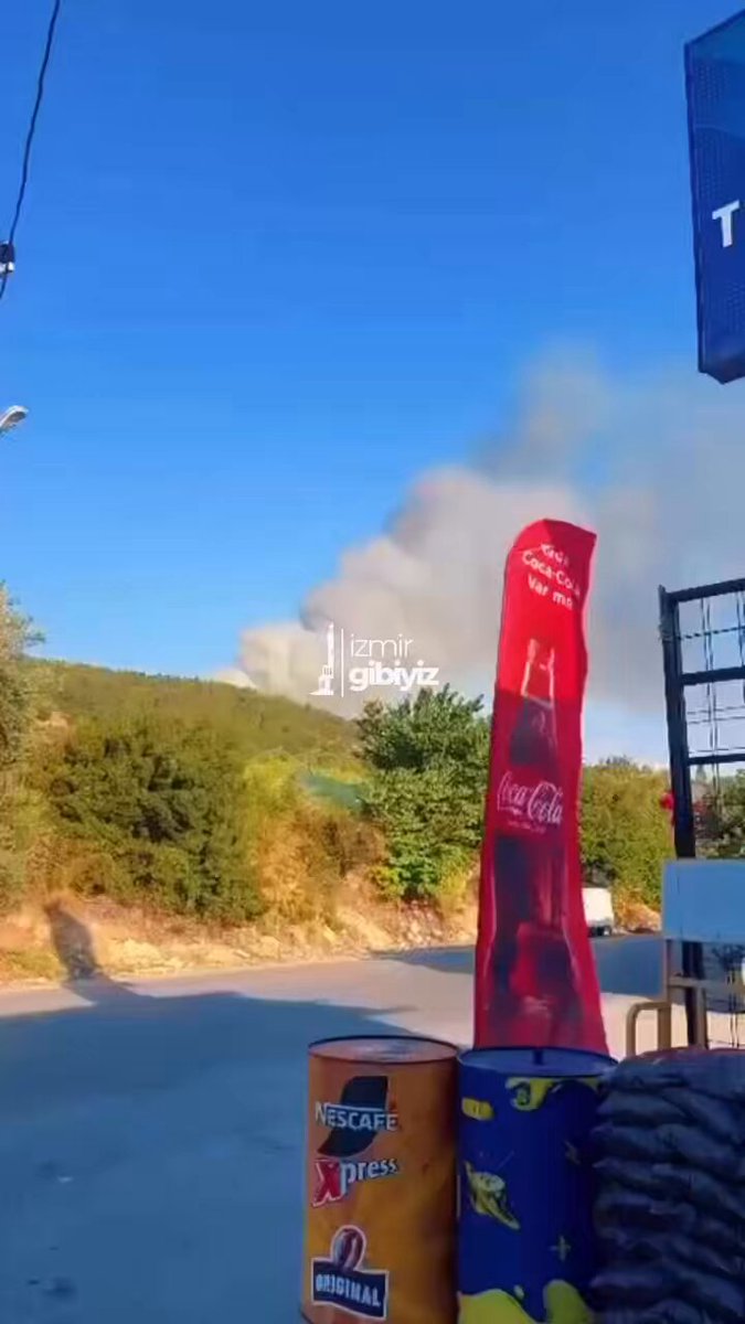 Urla'da Orman Yangını: Son Dakika Gelişmeleri