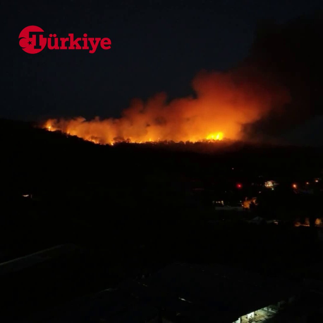 İzmir Urla'daki Orman Yangını Devam Ediyor: Son Durum ve Gelişmeler