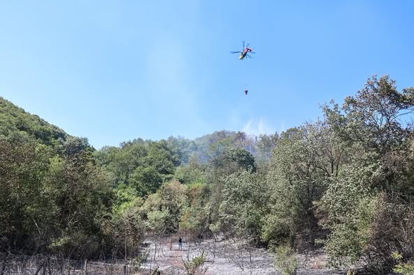 Sakarya'da Orman Yangınları Kontrol Altına Alındı: Soğutma Çalışmaları Devam Ediyor