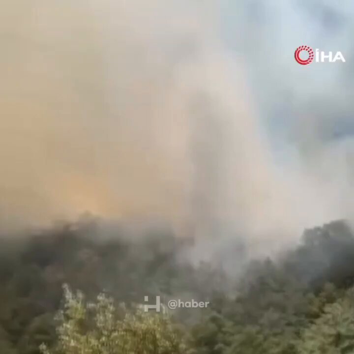 Sakarya Geyve'de İkinci Orman Yangını: İtfaiye Ekipleri Müdahale Etti