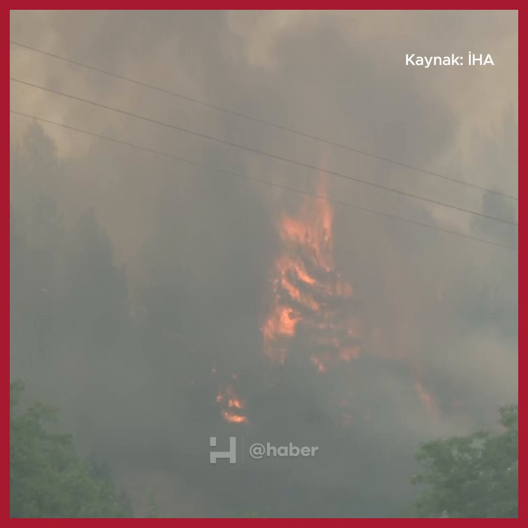 Karabük Orman Yangını: Söndürme Çalışmaları Devam Ediyor