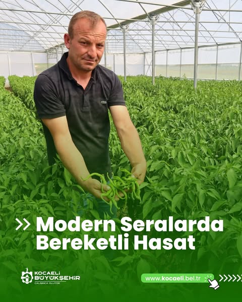 Kocaeli'de Seracılık Projesiyle Üreticiler Yüksek Verim Elde Ediyor