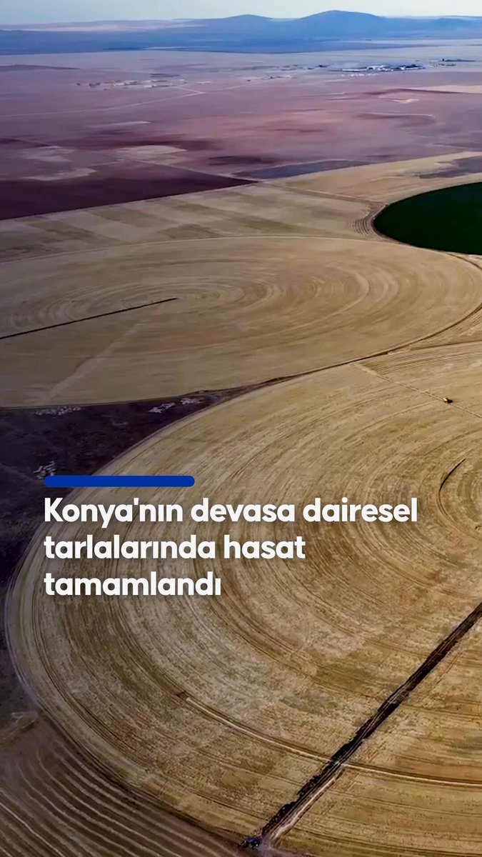 Konya'da Dev Dairesel Tarlalarda Rekor Hasat