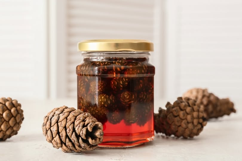 Çam Kozalağı Faydaları: Şifa Kaynağı Mucizevi Özellikleri