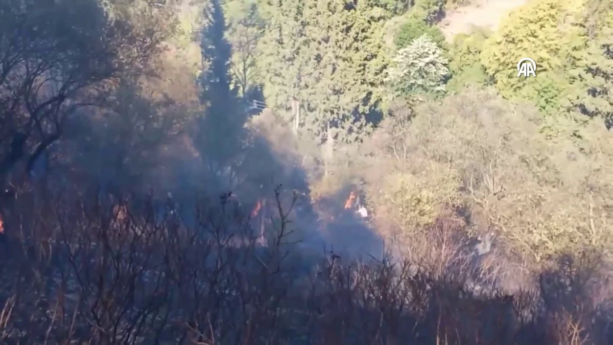 Kocaeli Karamürsel'de Orman Yangını: İtfaiye Ekipleri Seferber Oldu