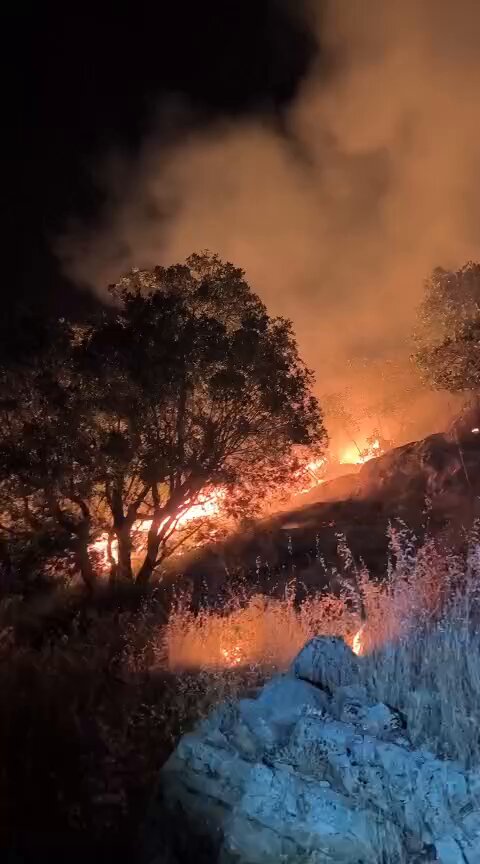 Diyarbakır Lice Orman Yangını: Devam Eden Söndürme Çalışmaları ve Son Durum