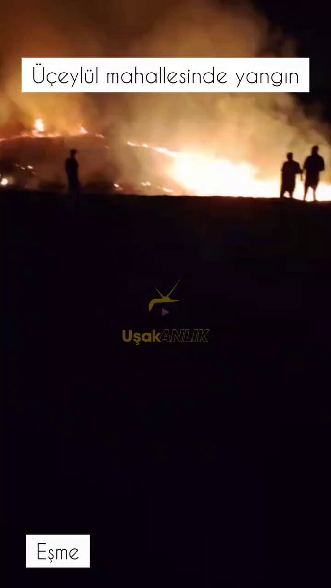 Uşak Eşme'de Orman Yangını Devam Ediyor: Son Durum ve İtfaiye Çalışmaları