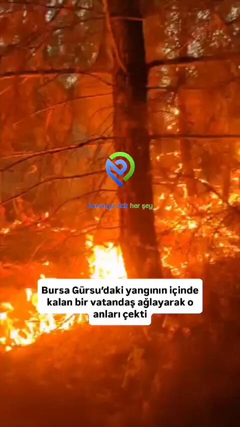 Bursa'da Yangın Bölgesinde Duygusal Anlar: Vatandaş Gözyaşlarına Boğuldu