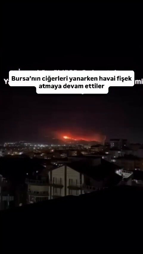 Bursa Orman Yangınları Devam Ederken Havai Fişek Skandalı