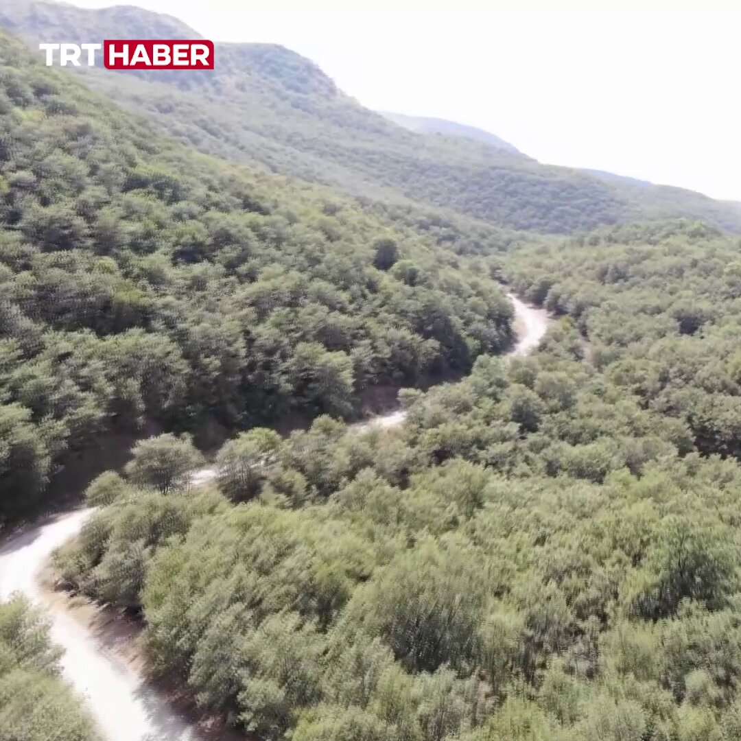 Aksaray Komandoları Hasan Dağı'nda Yangın Nöbetine Başladı