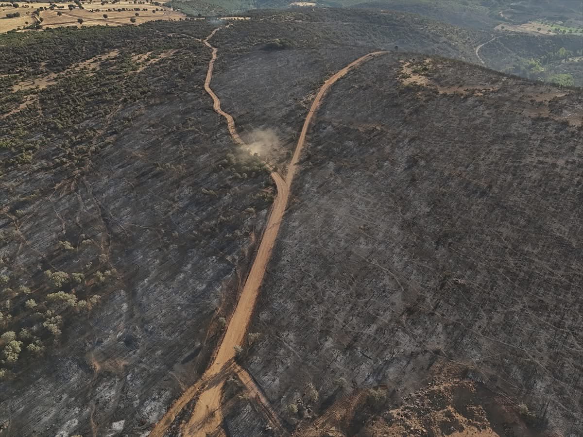 Uşak'ta Yangın Felaketi: Tahribatın Boyutu Büyüyor