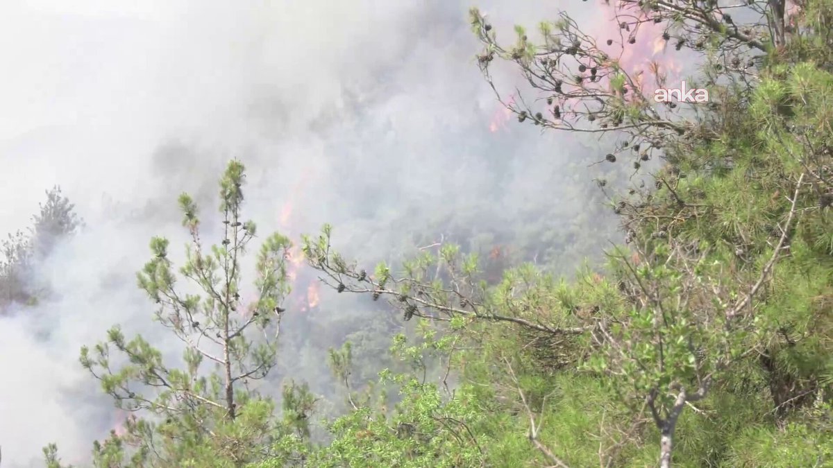 Bursa Gürsu Orman Yangını Devam Ediyor: Son Durum ve İtfaiye Çalışmaları