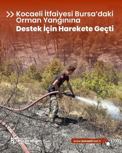Kocaeli İtfaiyesi Bursa'daki Orman Yangınına Destek Veriyor