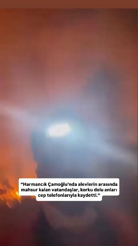Bursa Harmancık'ta Korku Dolu Anlar: Yangın Esnasında Kaydedilen Görüntüler Ortaya Çıktı