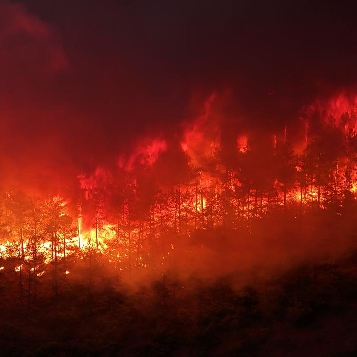 Bursa'da Havai Fişek Faciası: Orman Yangınına Neden Olan 4 Kişi Gözaltına Alındı