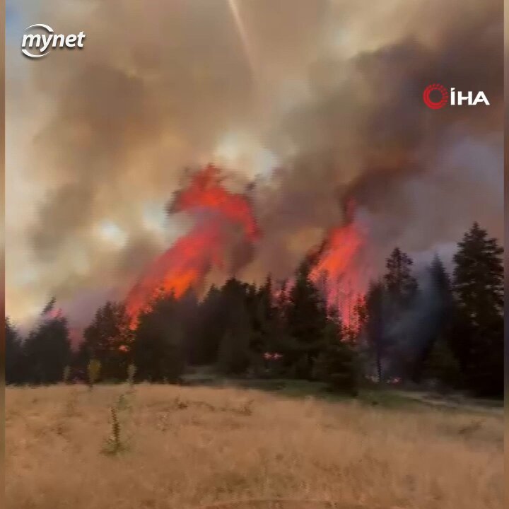 Çankırı Yapraklı'da Orman Yangını: Kontrol Altına Alındı