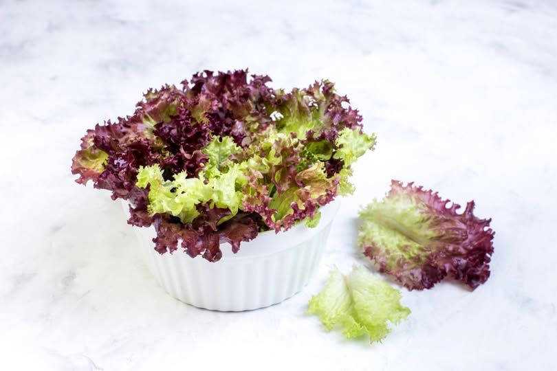 Lolorosso Salatası: Renkli, Besleyici ve Farklı Bir Lezzet Deneyimi